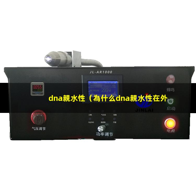 dna親水性（為什么dna親水性在外側(cè)）dna親水性的原理