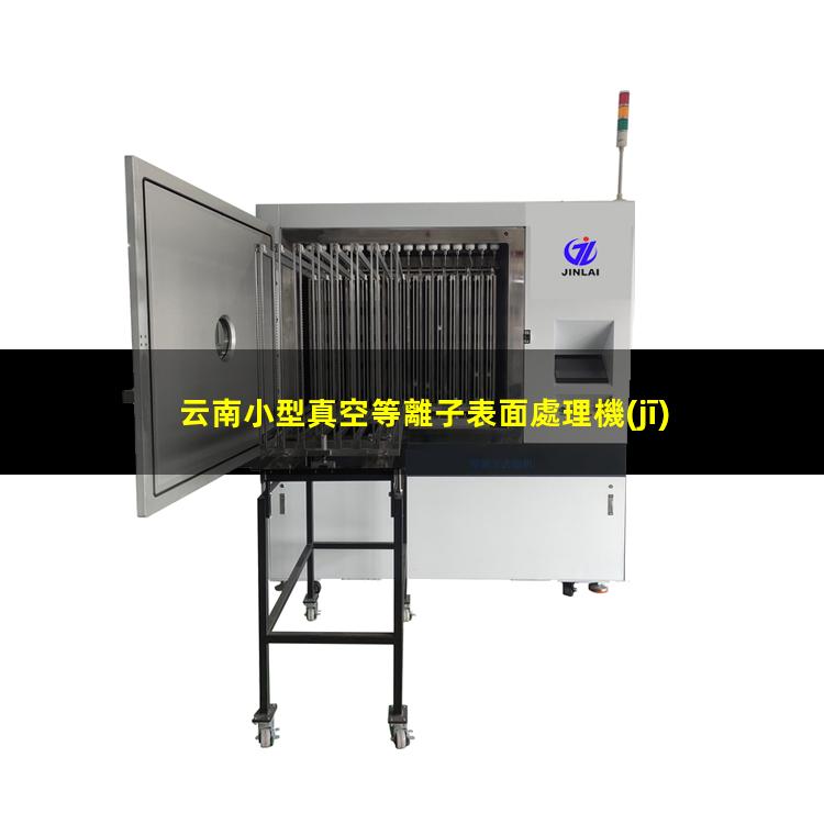 云南小型真空等離子表面處理機(jī)價(jià)格