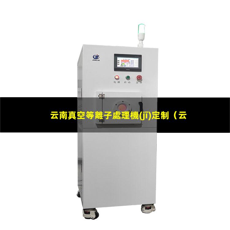 云南真空等離子處理機(jī)定制