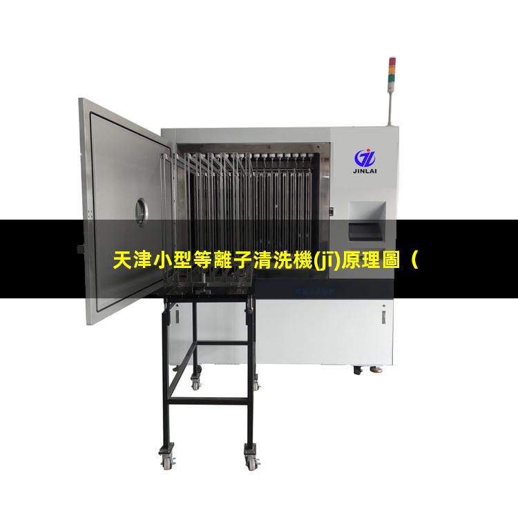 天津小型等離子清洗機(jī)原理圖