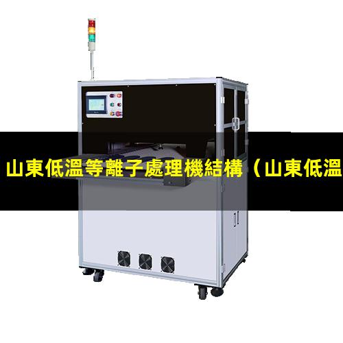 山東低溫等離子處理機結構