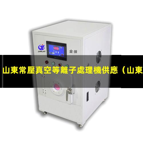 山東常壓真空等離子處理機供應