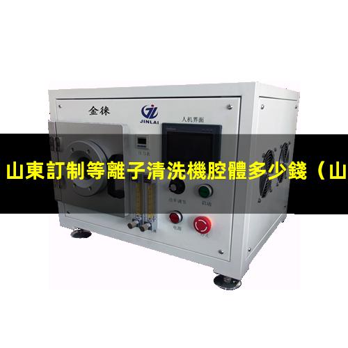 山東訂制等離子清洗機腔體多少錢