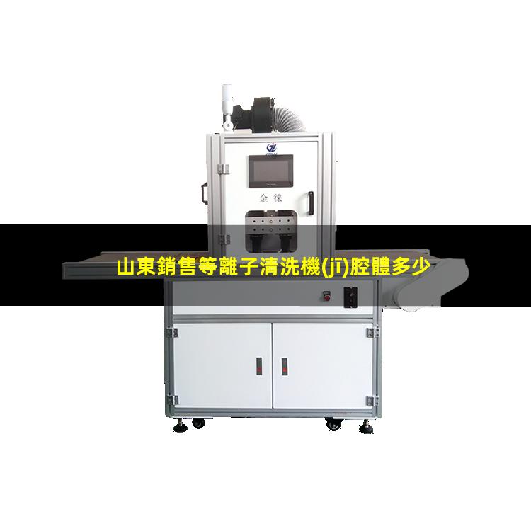 山東銷售等離子清洗機(jī)腔體多少錢
