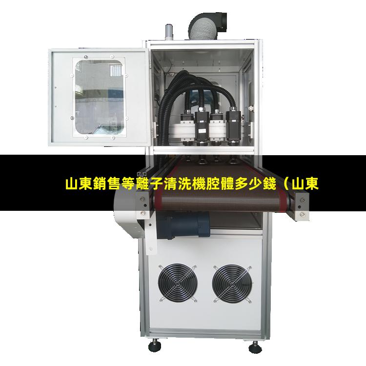 山東銷售等離子清洗機腔體多少錢