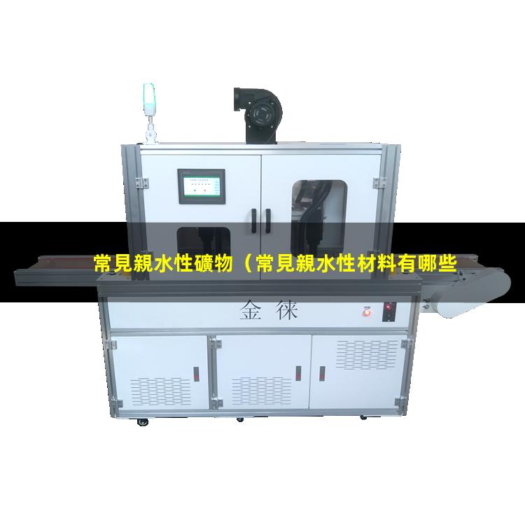 常見親水性礦物