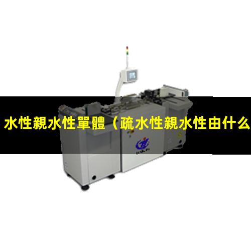 水性親水性單體