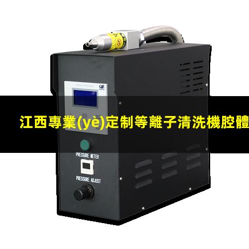 江西專業(yè)定制等離子清洗機腔體量大從優(yōu)