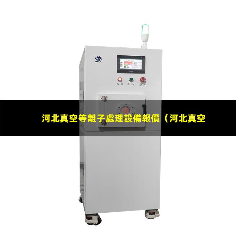 河北真空等離子處理設備報價
