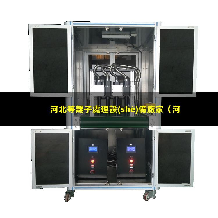 河北等離子處理設(shè)備廠家