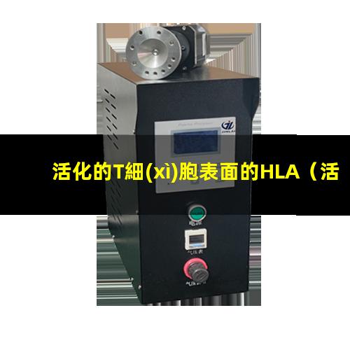 活化的T細(xì)胞表面的HLA