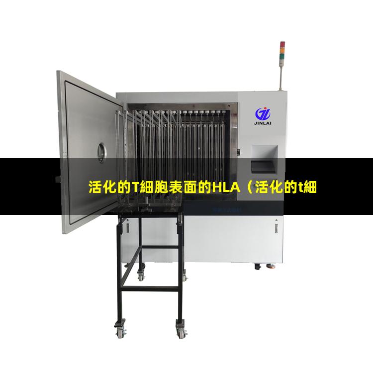 活化的T細胞表面的HLA
