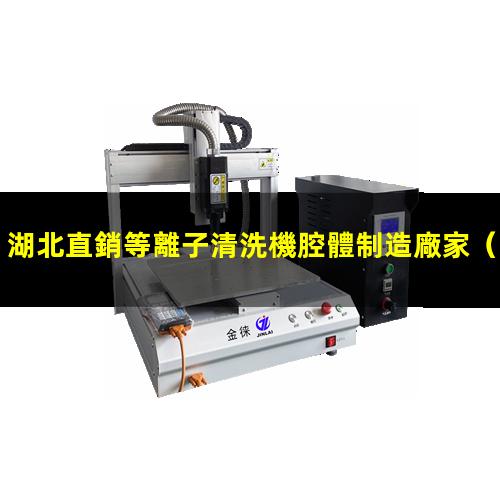湖北直銷等離子清洗機腔體制造廠家