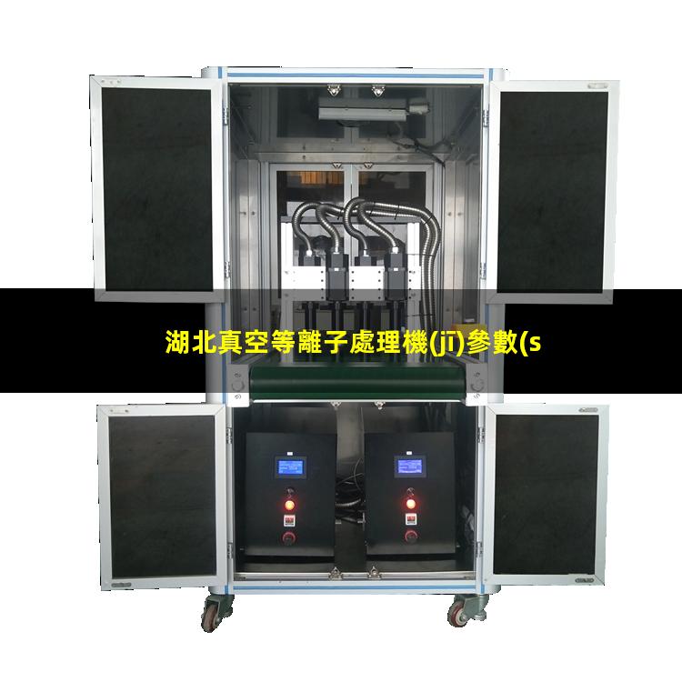 湖北真空等離子處理機(jī)參數(shù)