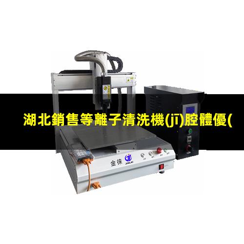 湖北銷售等離子清洗機(jī)腔體優(yōu)選企業(yè)