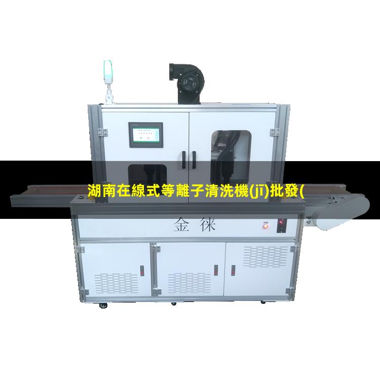 湖南在線式等離子清洗機(jī)批發(fā)