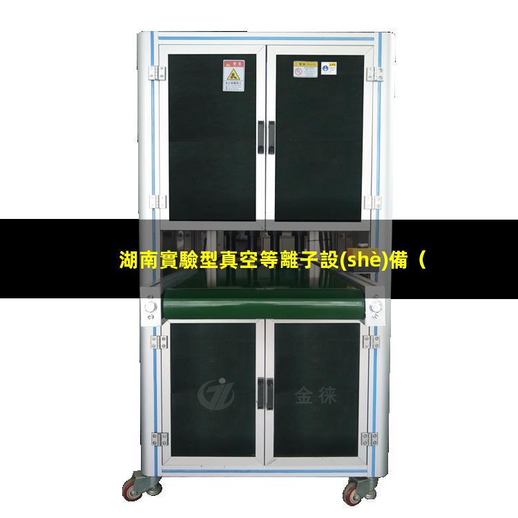 湖南實驗型真空等離子設(shè)備