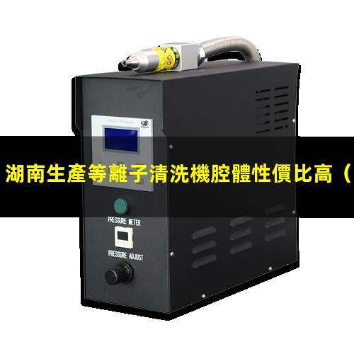 湖南生產等離子清洗機腔體性價比高