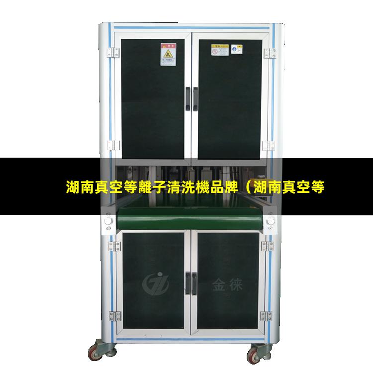 湖南真空等離子清洗機品牌