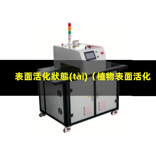 表面活化狀態(tài)