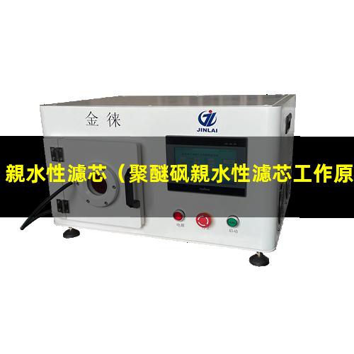 親水性濾芯