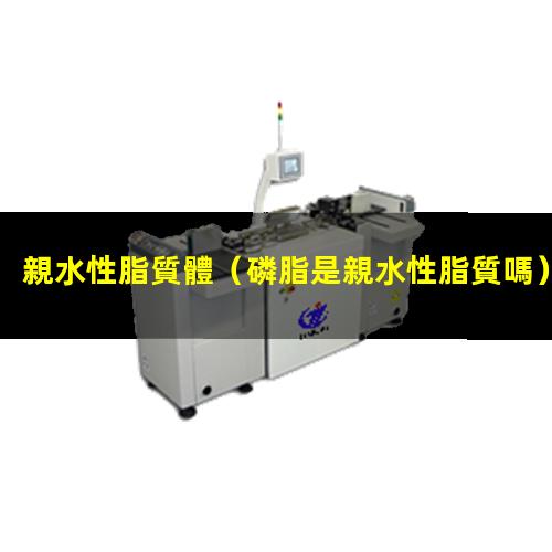 親水性脂質體