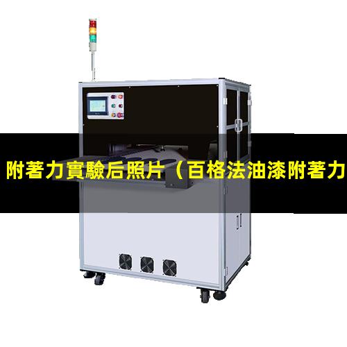 附著力實驗后照片