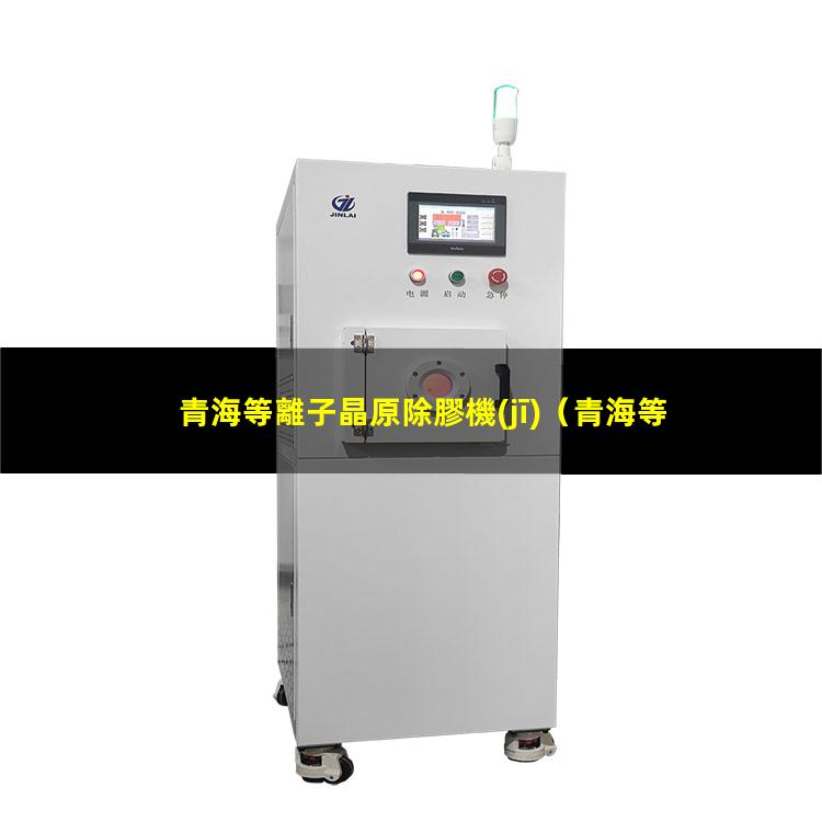 青海等離子晶原除膠機(jī)